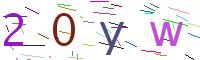 Verify Code